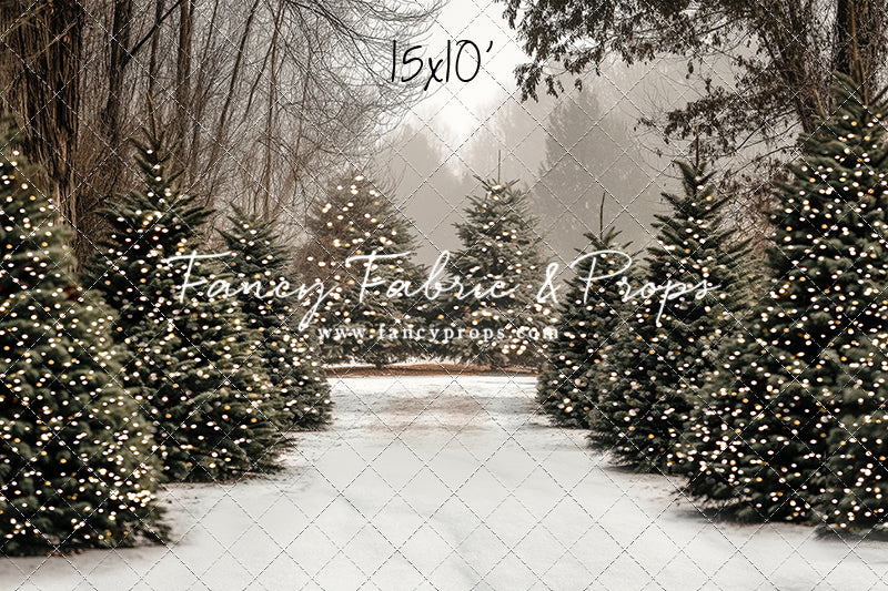 Country Pines Trail with Sweep Option