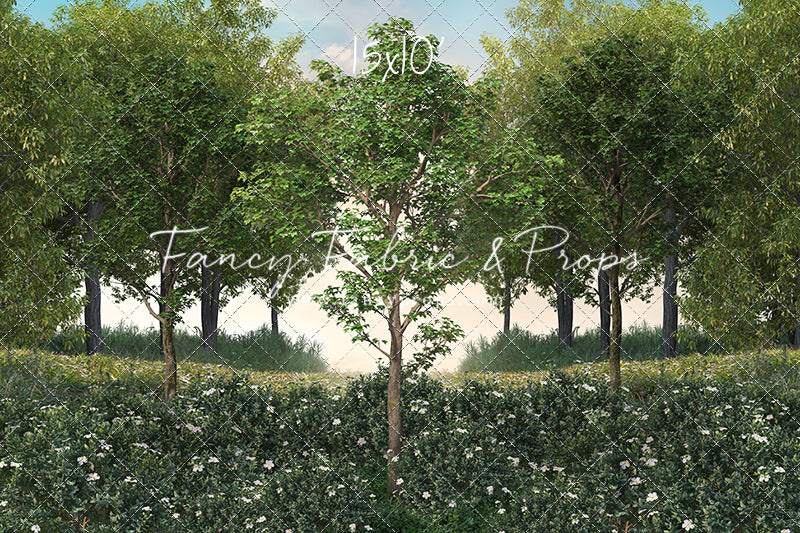 Spring Morning Meadow