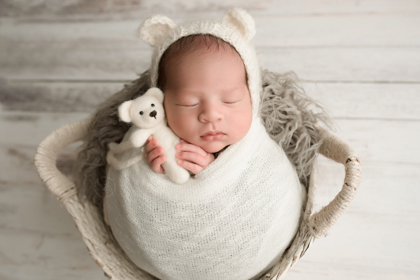 Portland Wood Planks - Petite