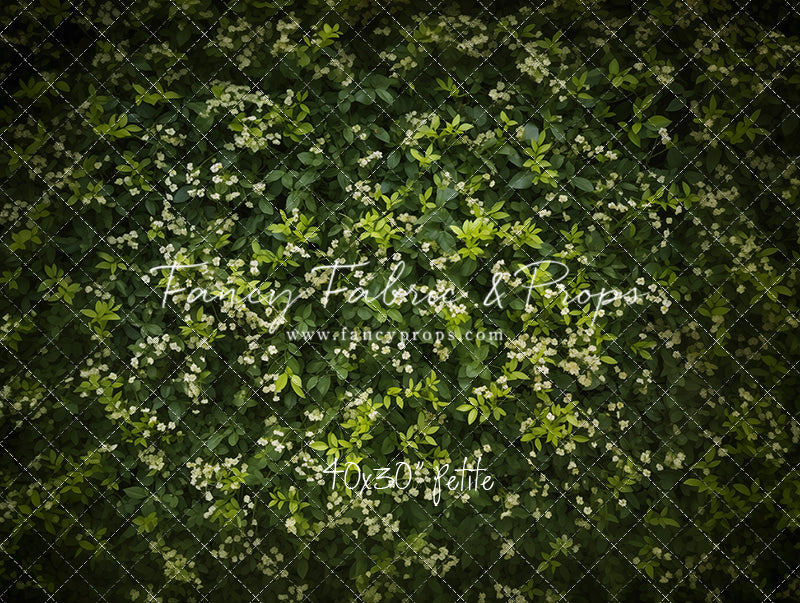 Lush Garden Greens - Petite