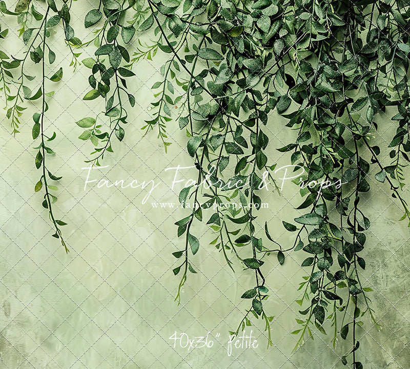 Painted Myrtle - Petite