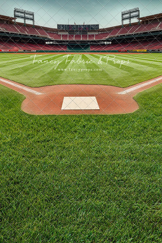 View From Home Plate - With Sweep Option