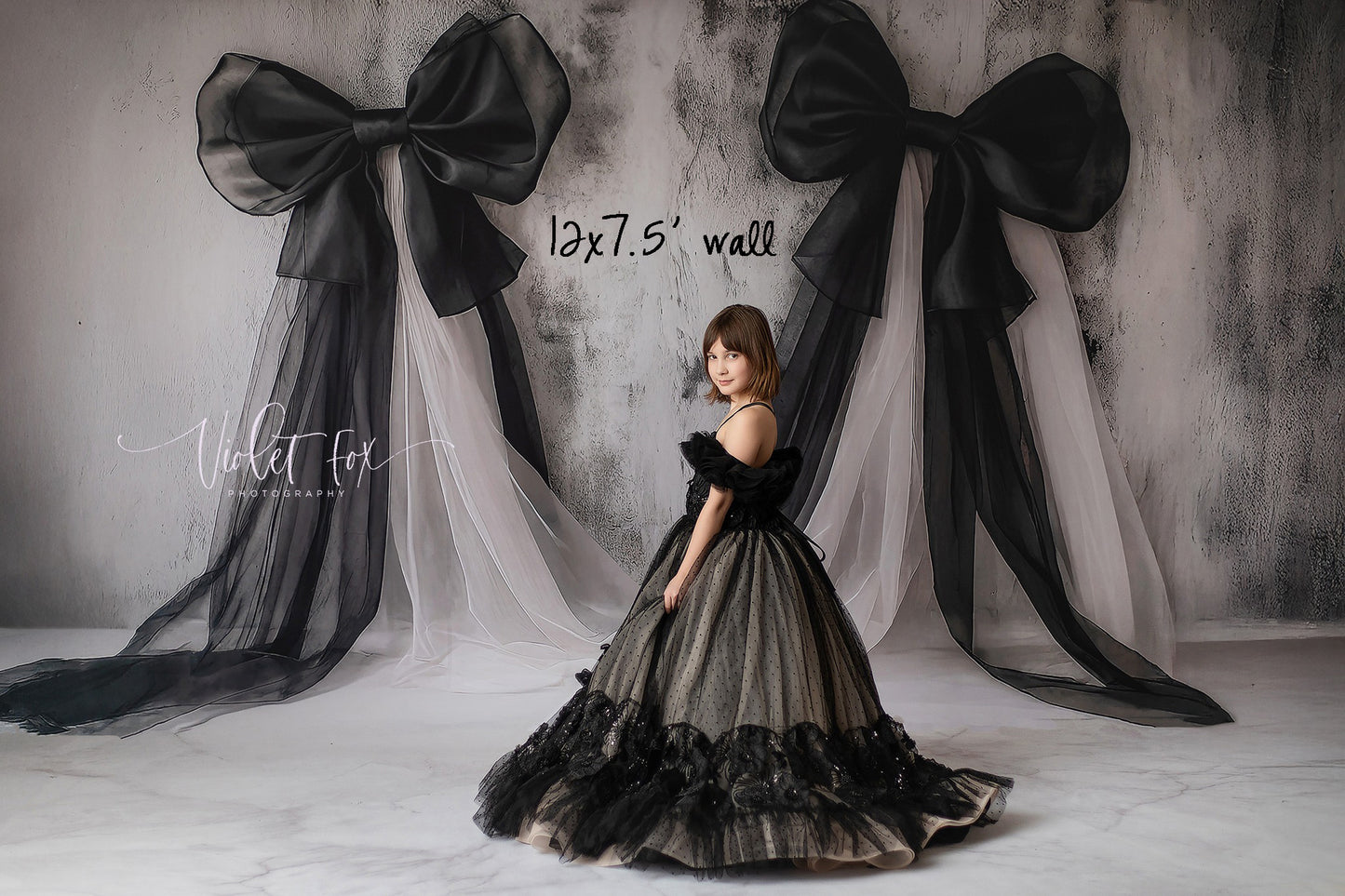 OG Fancy Lite Backdrop System