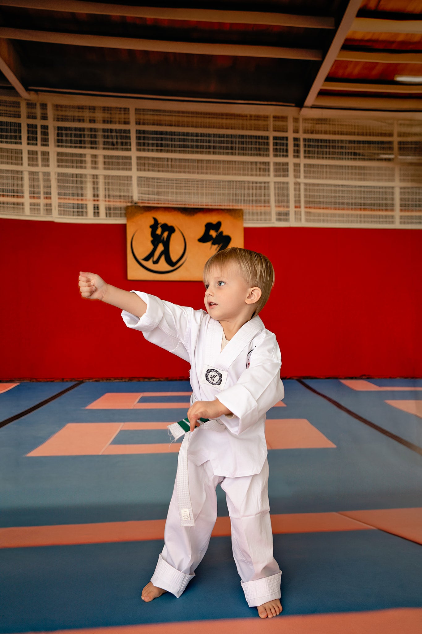 Dojo Mat - Sweep Sizes Only