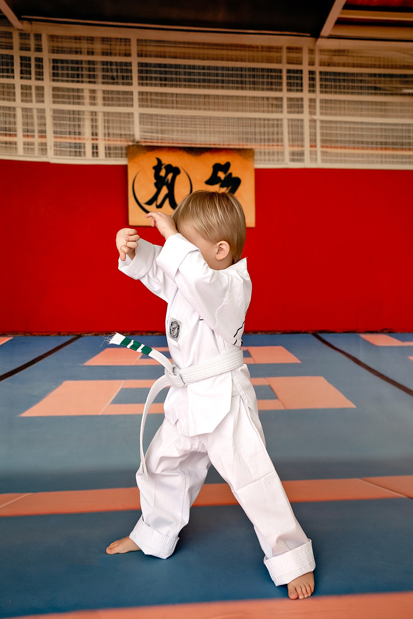 Dojo Mat - Sweep Sizes Only