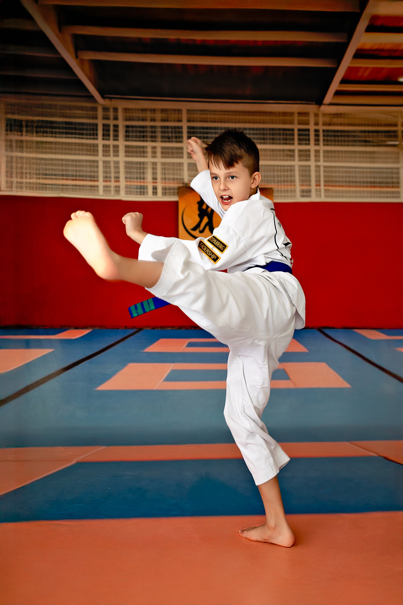 Dojo Mat - Sweep Sizes Only