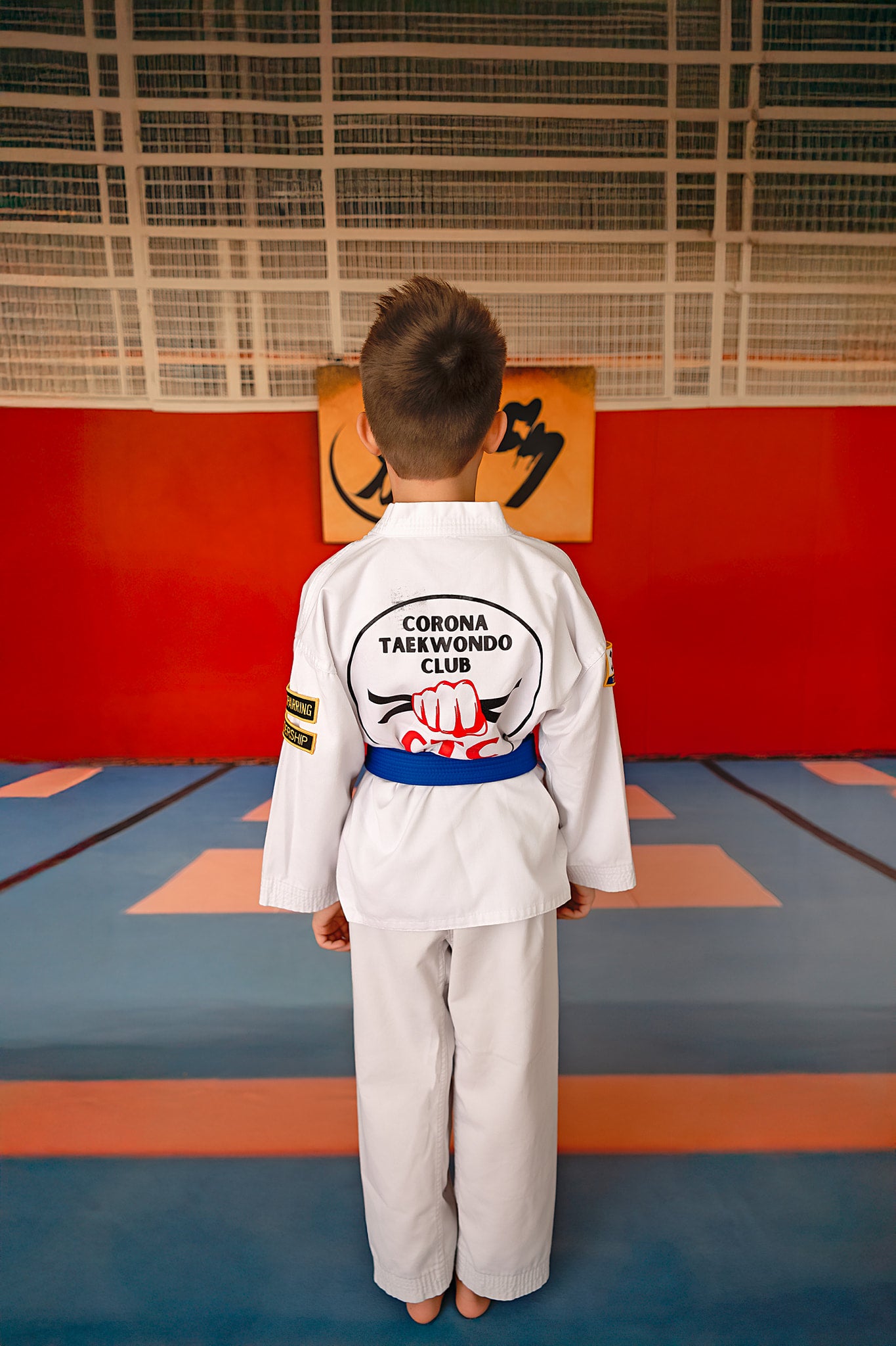Dojo Mat - Sweep Sizes Only