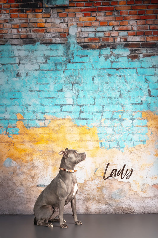 Coastal Fade Brick - With Sweep Option