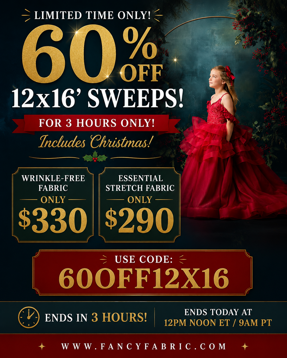 Flash Sale: 60% off 12x16' Sweeps- Includes Christmas!