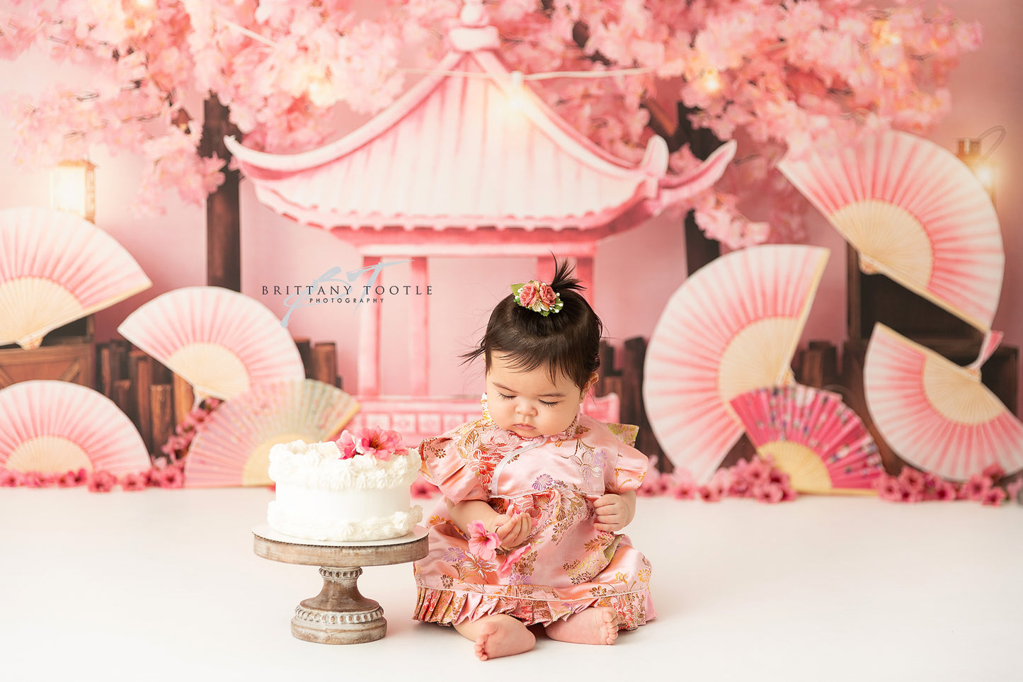 Cherry Blossom Garden