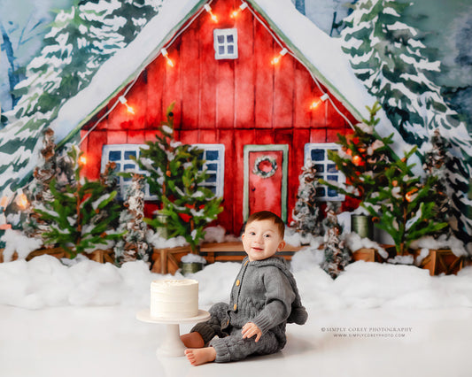 Christmas In The Stables