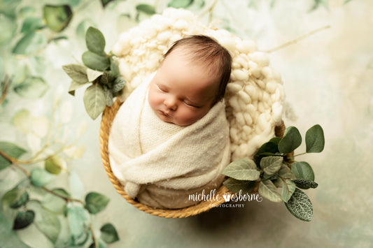 Climbing Clematis- Petite