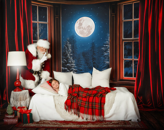 Midnight Christmas View