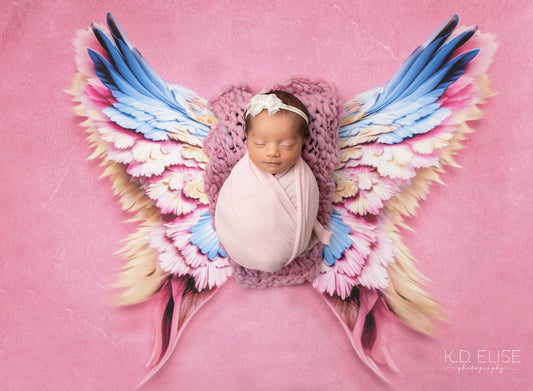 Enchanted Blush Wings - Petite