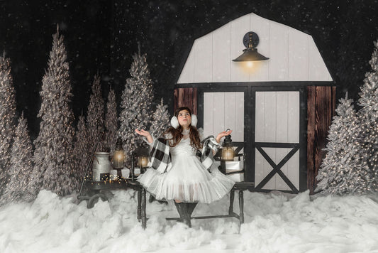 Modern Christmas Barn - with light - 2pc Room