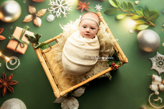 Festive Christmas Twinkle - Petite