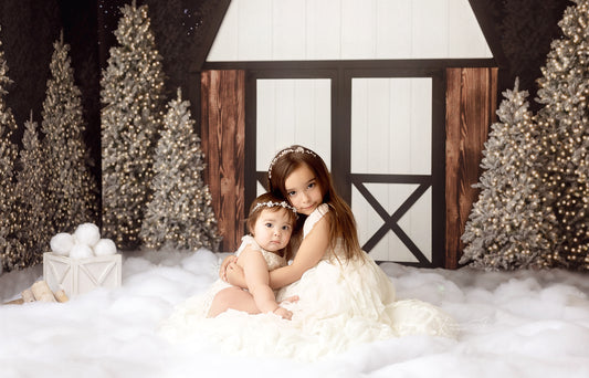 Modern Christmas Barn - No Light