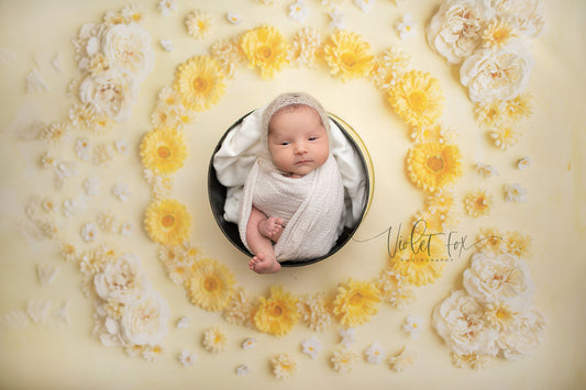 Delicate Daisy - Petite