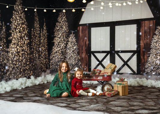 Modern Christmas Barn - No Light - 2pc Room