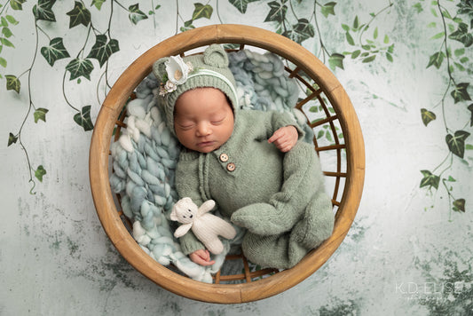 Painted Ivy - Petite