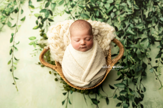 Painted Myrtle - Petite