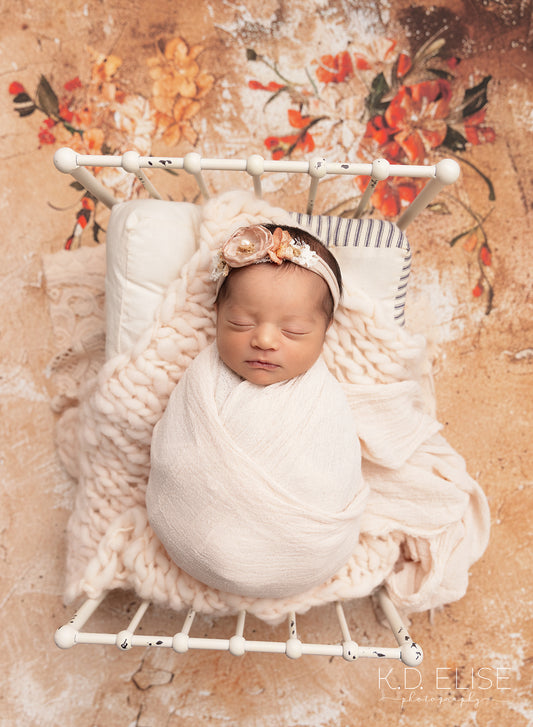 Painted Terra - Petite