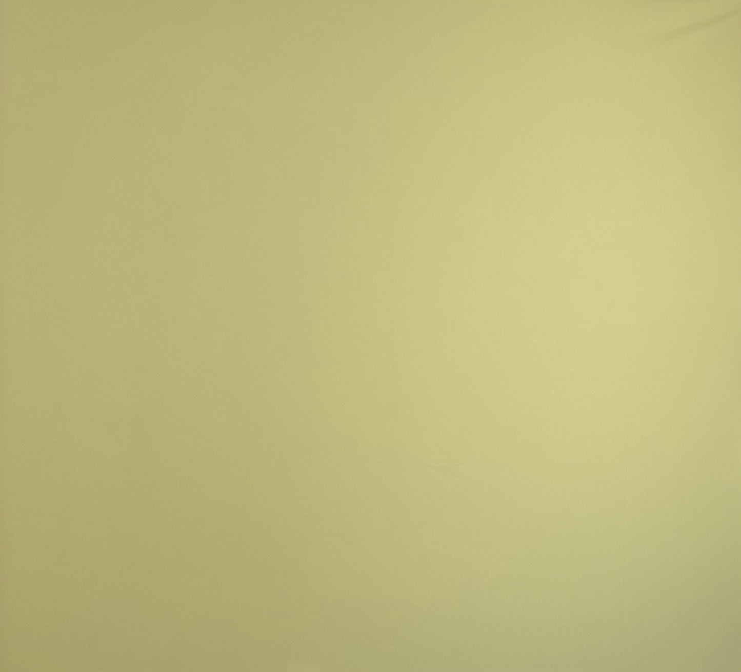 RTS Light Sage - 10x15' Wrinkle-Free Fabric - Yellow Tint - 60% Off