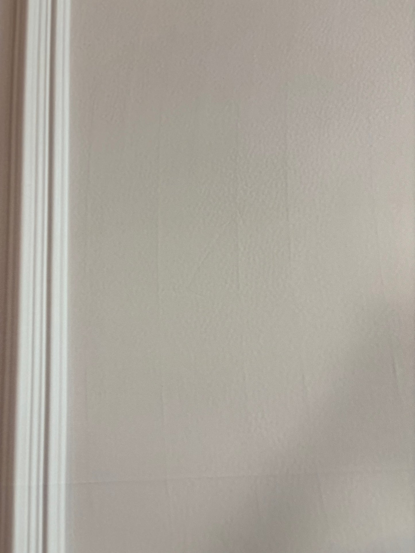 RTS Simple Ivory Panel Wall - 12x8' Wrinkle-Free Fabric - Warm/Banding - 60% Off