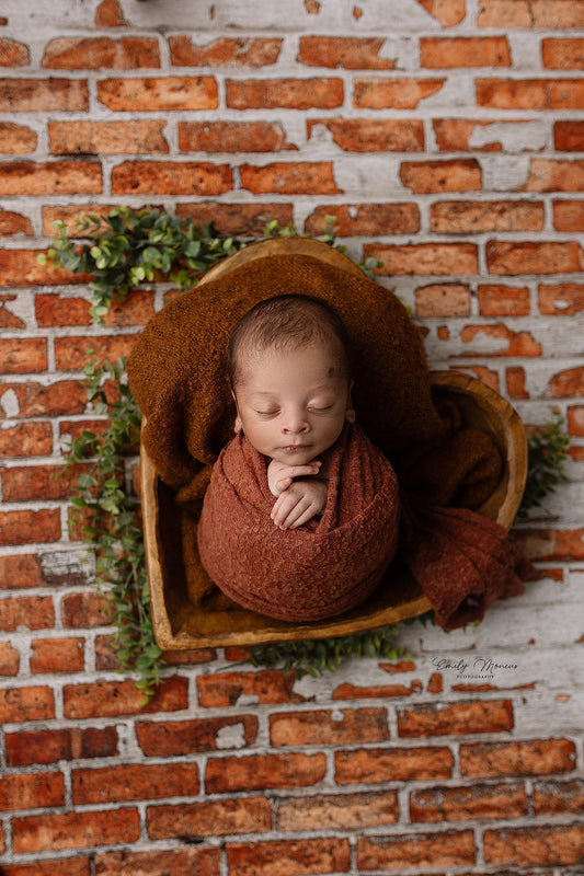 Salt Lake Brick Wall - Petite