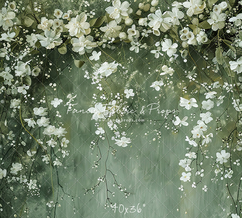 Painted Clematis - Petite