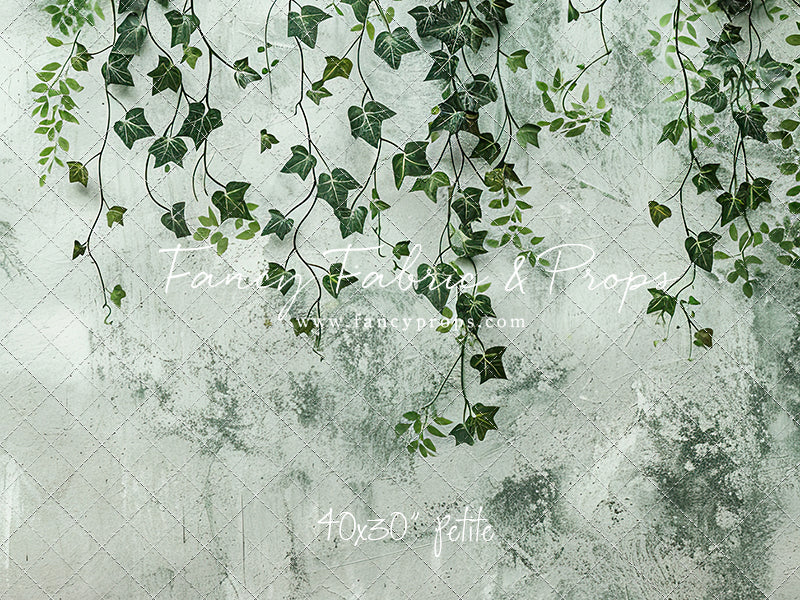 Painted Ivy - Petite