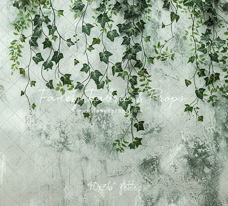 Painted Ivy - Petite