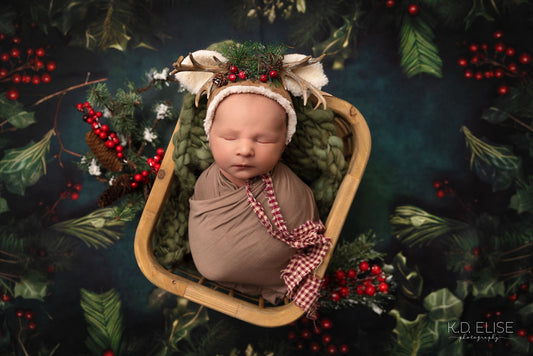 Evergreen Holiday - Petite