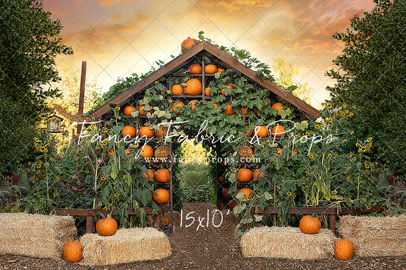 Pumpkin House