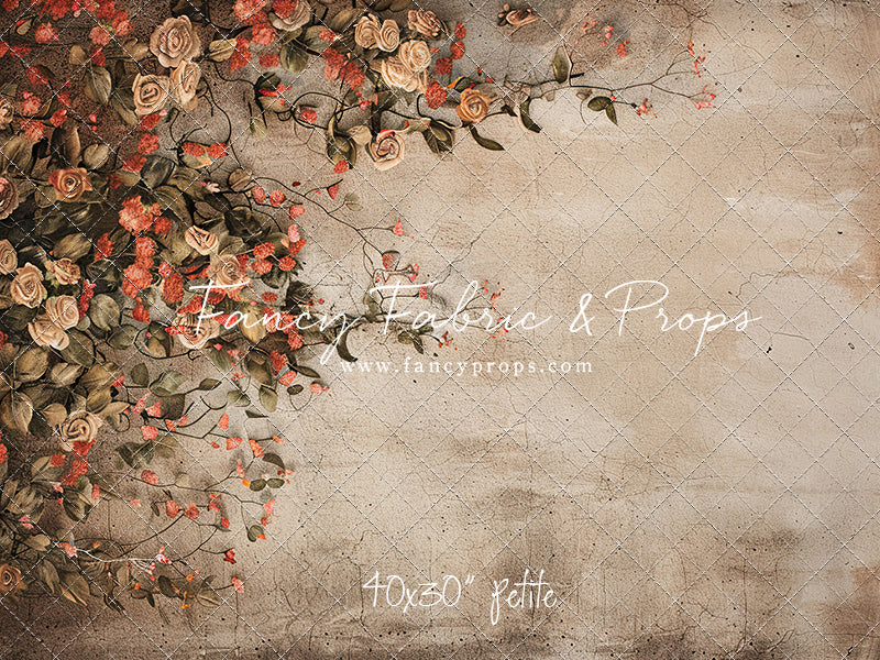 Painted Rose- Petite