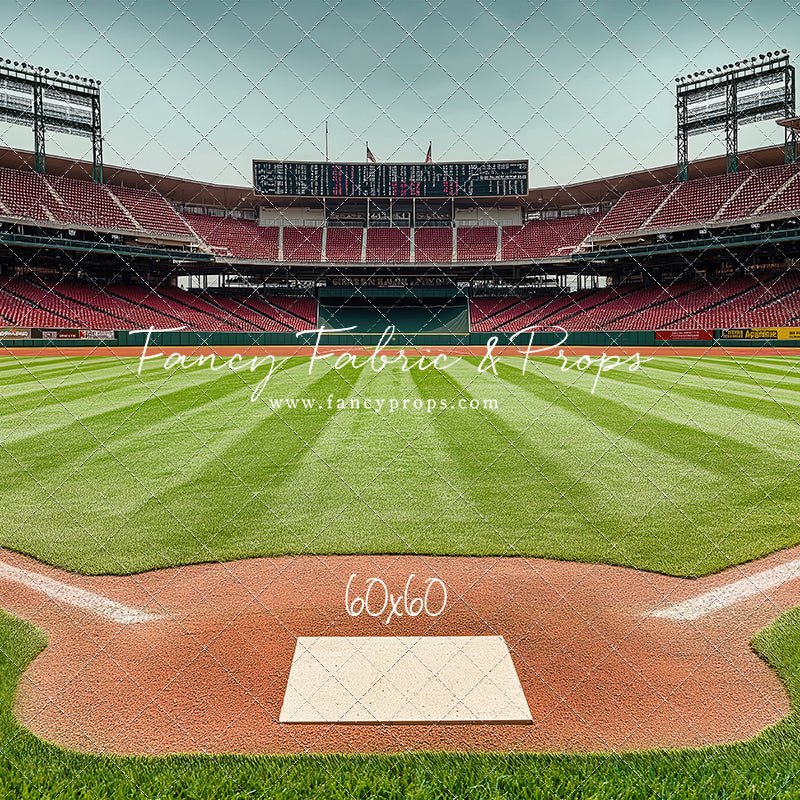 View From Home Plate - With Sweep Option