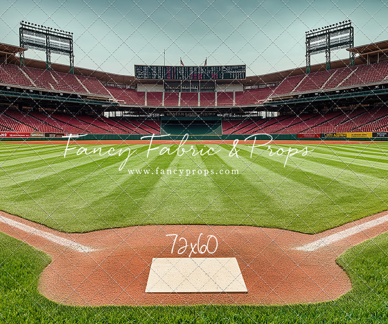View From Home Plate - With Sweep Option