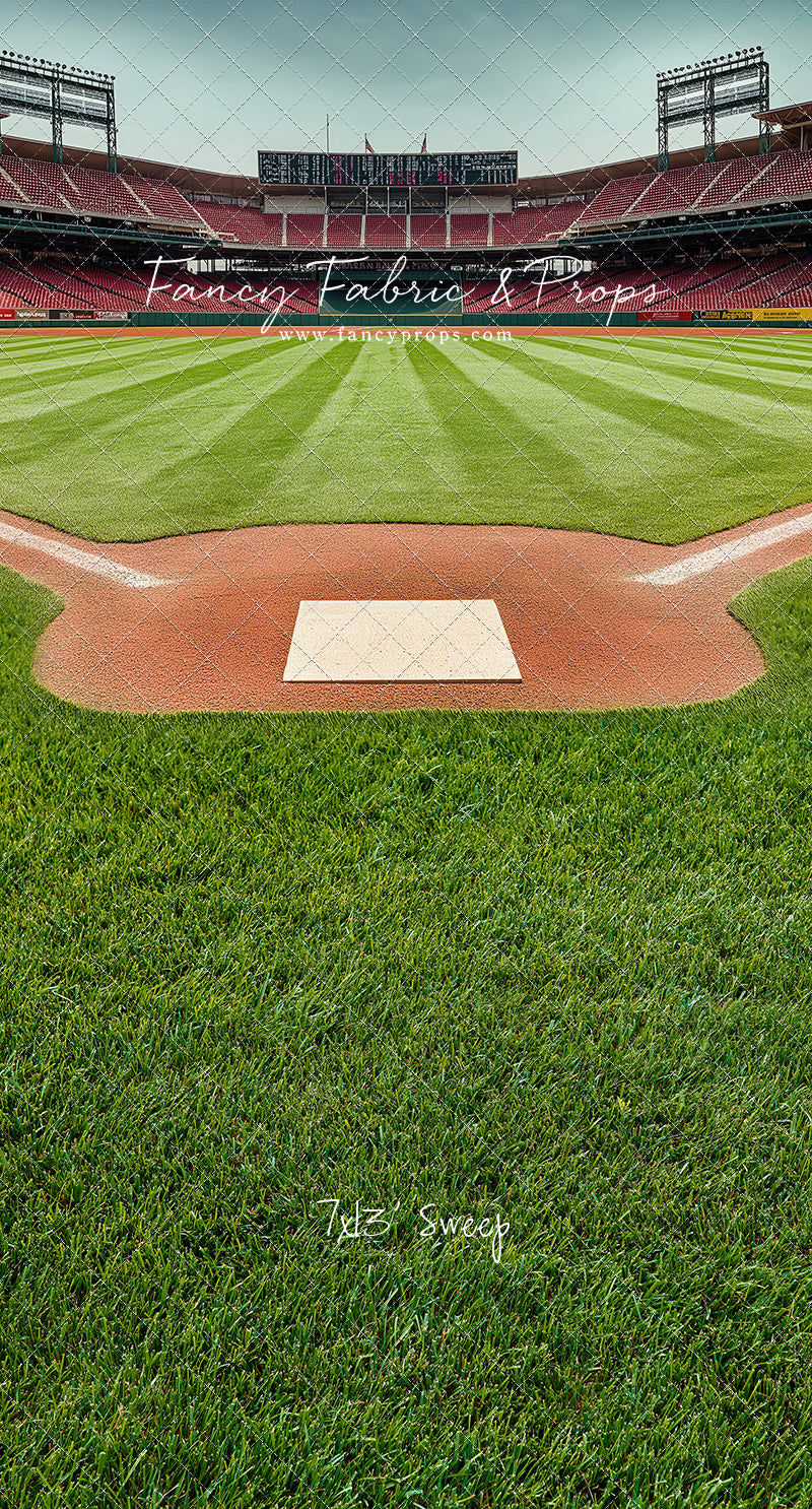 View From Home Plate - With Sweep Option