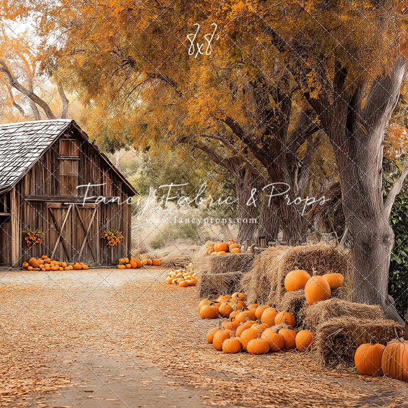 Harvest Haven Farms - Room