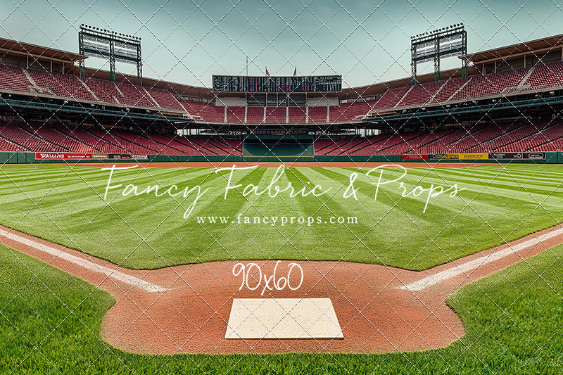 View From Home Plate - With Sweep Option