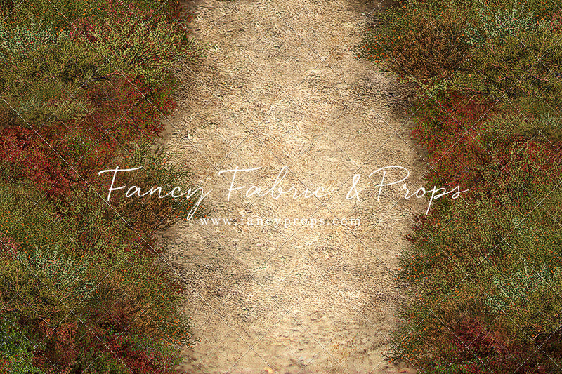 Autumn Forest Path - Mini Room