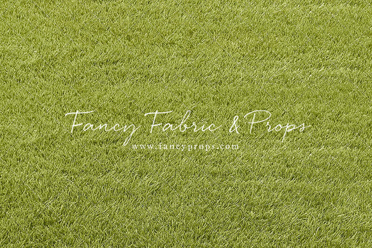 Castle of Wonders Lawn - Floor