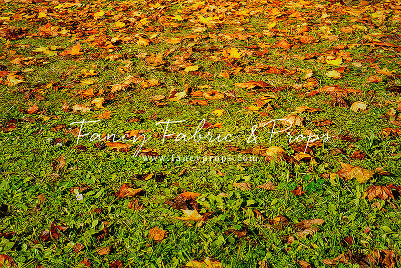 Daytime Grassy Fall Floor