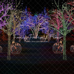 Festive Forest Pathway