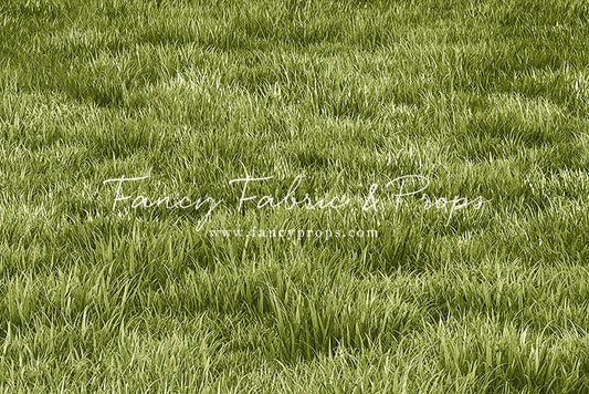 Harmony Grass - Floor