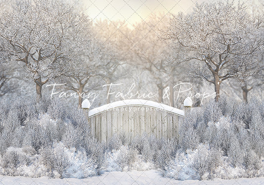 Icy Winter Gate