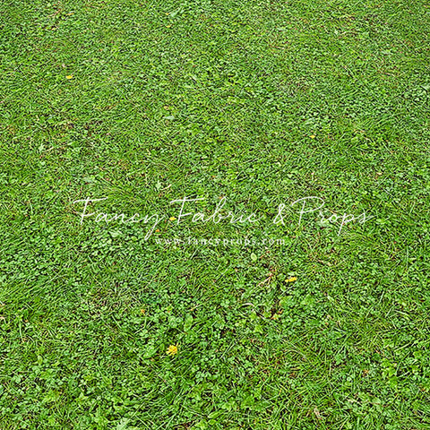 Floral Gate - Floor