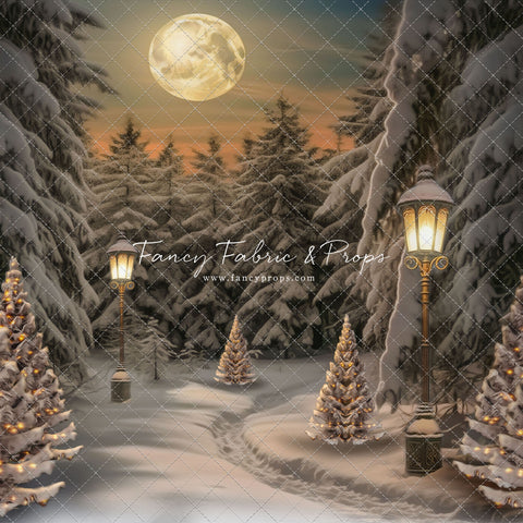 Snowy Moonlit Path