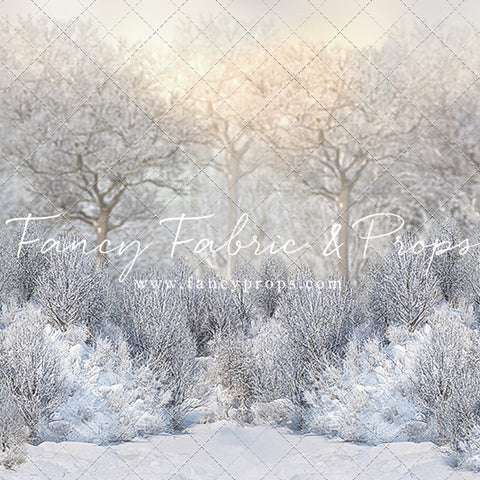 Snowy Serenity
