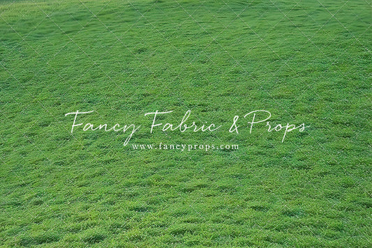 Willow Lake Grass - Floor